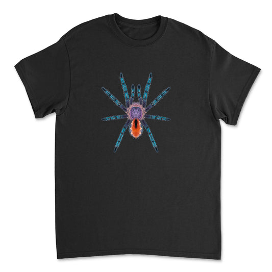 Pinktoe tarantula art T-shirt featuring a detailed illustration of Pachistopelma bromelicola on a comfortable Gildan T-shirt.