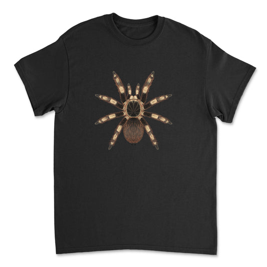 Brazilian Black And White Tarantula (Nhandu coloratovillosus) Art T-Shirt from Mingo Art