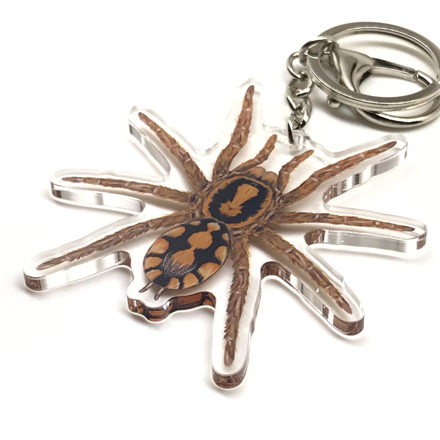 Pumpkin Patch Tarantula keychain featuring Hapalopus formosus acrylic charm, colorful arachnid accessory from The Silk Ranch.