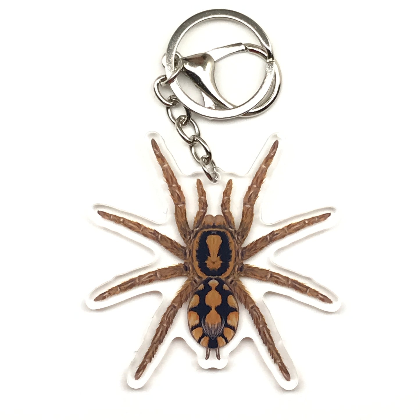Acrylic keychain featuring a Pumpkin Patch Tarantula (Hapalopus formosus) from The Silk Ranch, with detailed orange and black coloring.