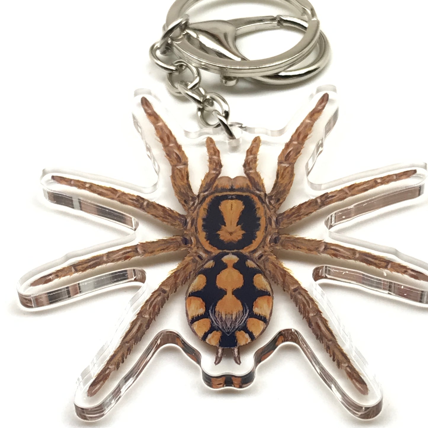 Acrylic charm of a Pumpkin Patch Tarantula keychain featuring a Hapalopus formosus spider with detailed orange and black coloring.