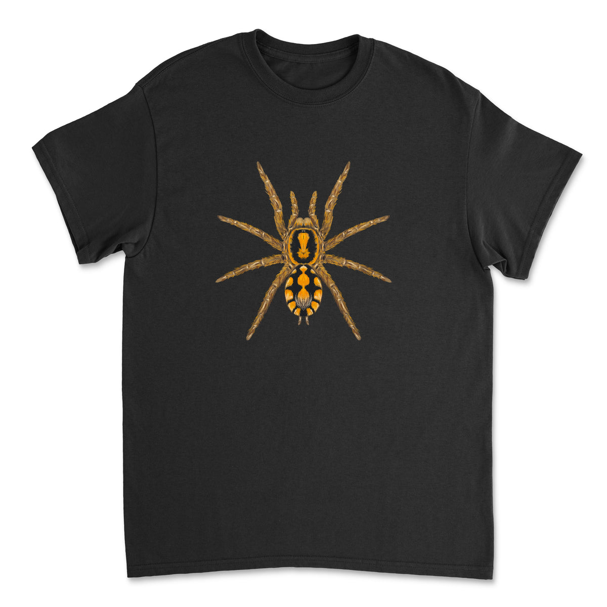 Mingo Art Pumpkin Patch Tarantula Hapalopus formosus art T-shirt featuring a detailed spider illustration on a black T-shirt.