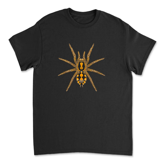 Mingo Art Pumpkin Patch Tarantula Hapalopus formosus art T-shirt featuring a detailed spider illustration on a black T-shirt.