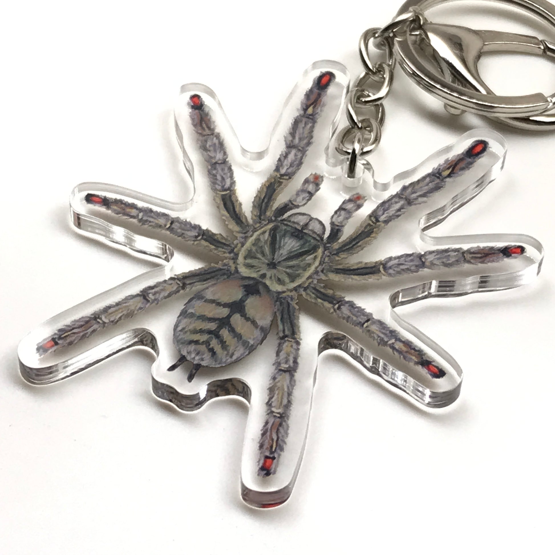 Trinidad Chevron Tarantula Keychain, Psalmopoeus Cambridgei Acrylic Charm from The Silk Ranch