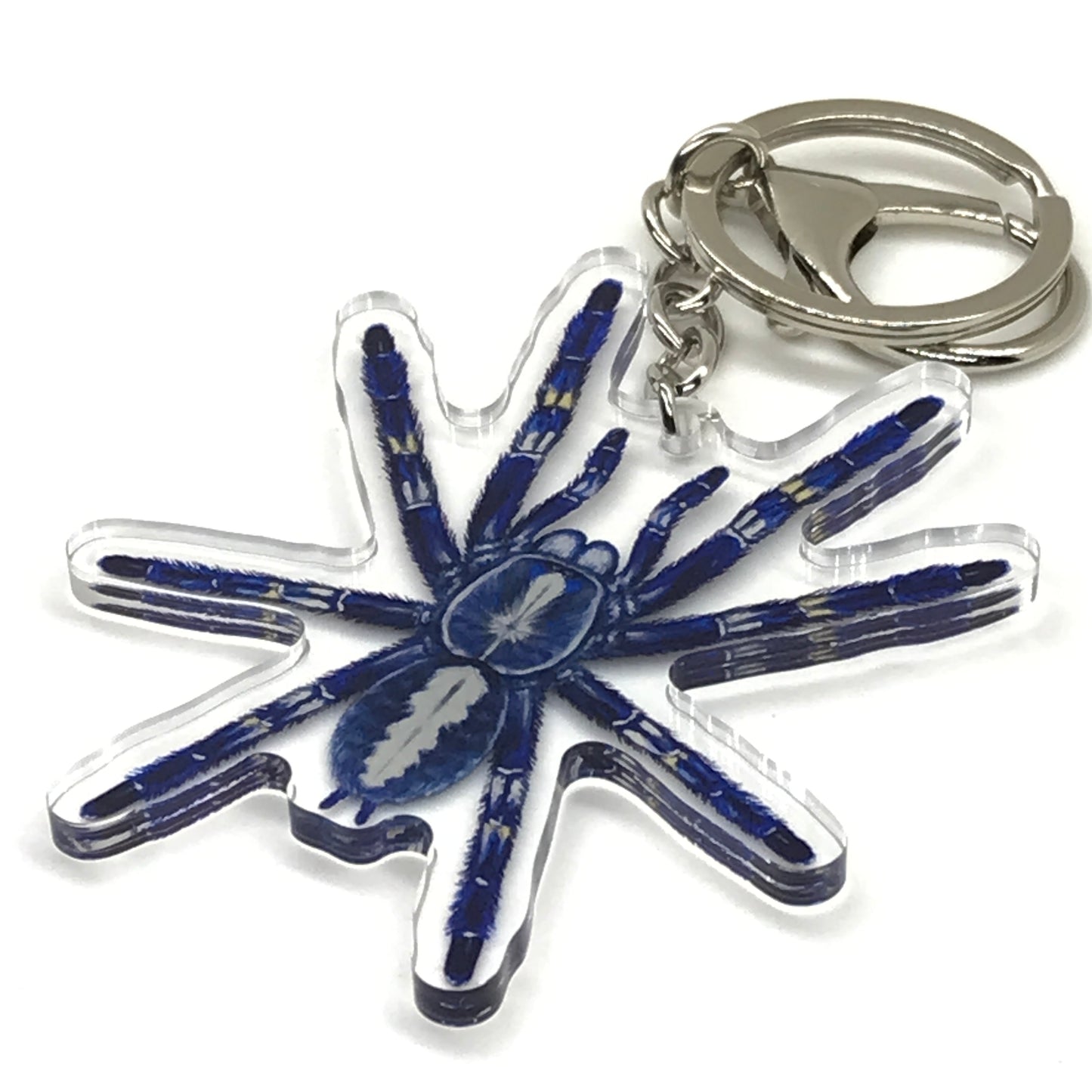 Gooty sapphire tarantula keychain featuring a Poecilotheria metallica acrylic charm with detailed spider design.