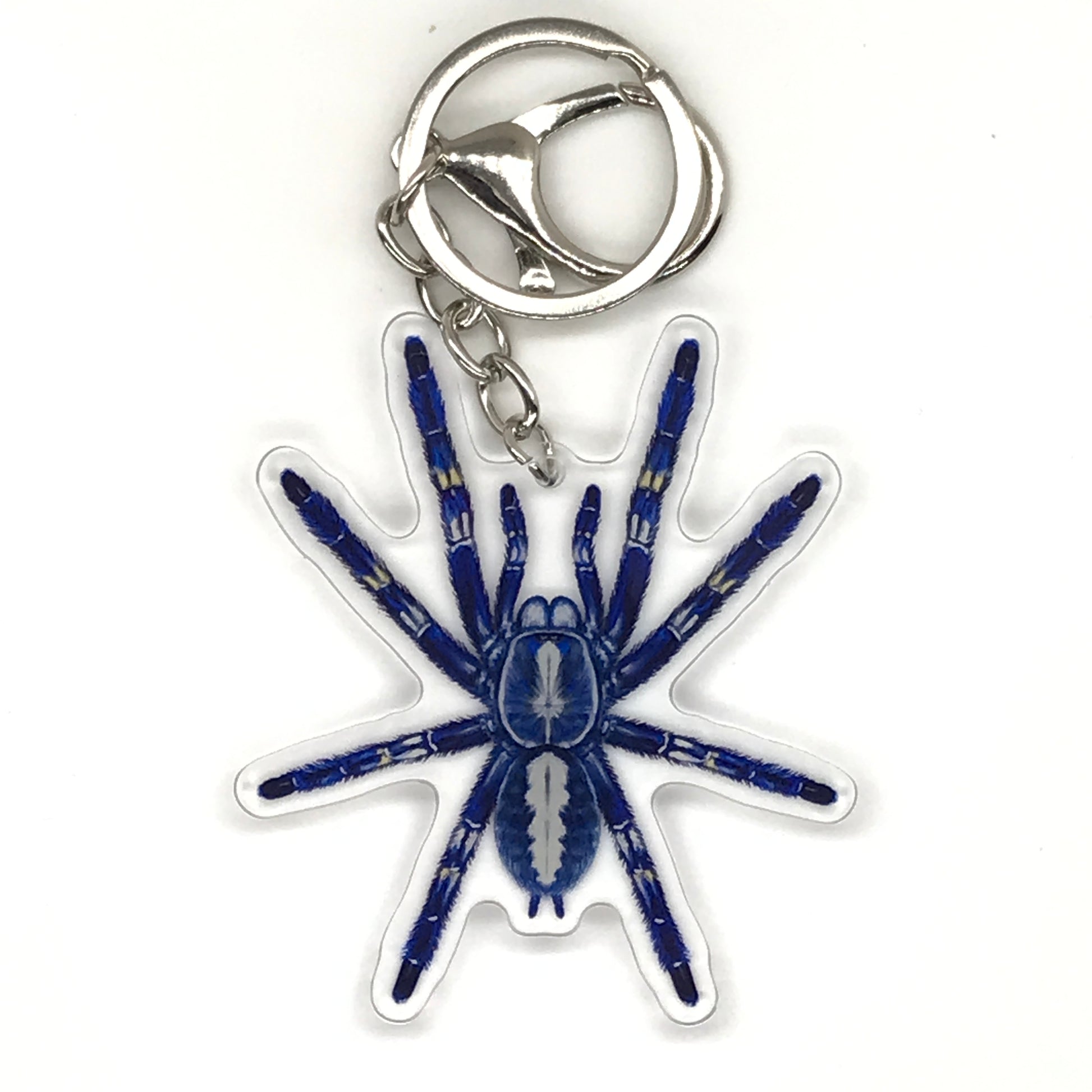 Gooty Sapphire Tarantula Poecilotheria Metallica acrylic keychain charm with detailed spider design, from The Silk Ranch.