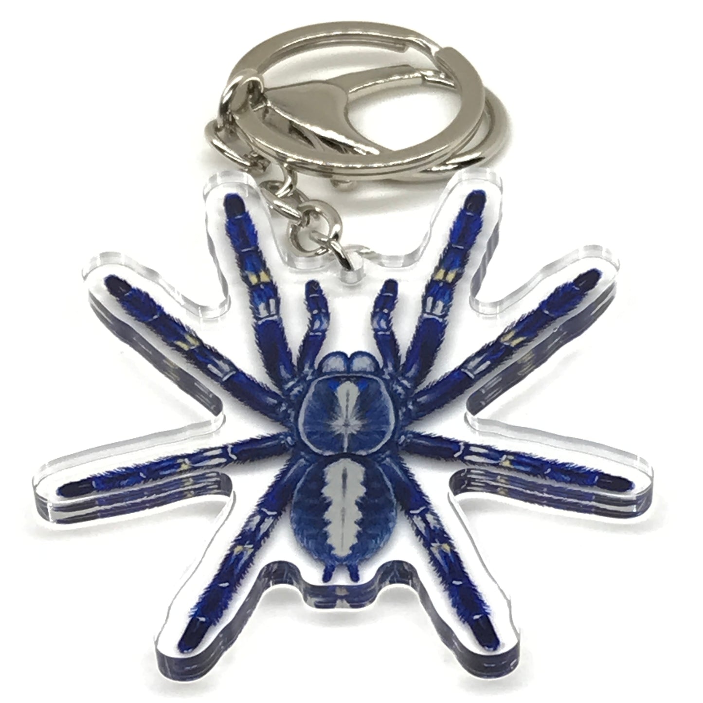 Gooty Sapphire Tarantula keychain with Poecilotheria metallica acrylic charm, featuring detailed black and yellow spider design.