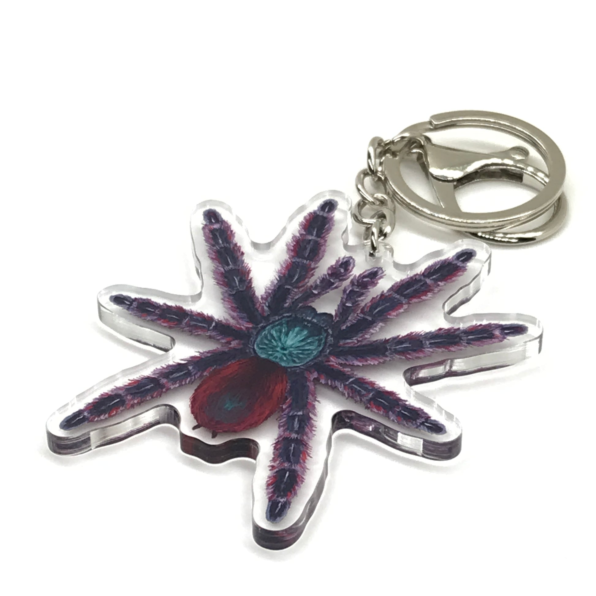 Antilles Pinktoe Tarantula Keychain, Caribena Versicolor Acrylic Charm from The Silk Ranch