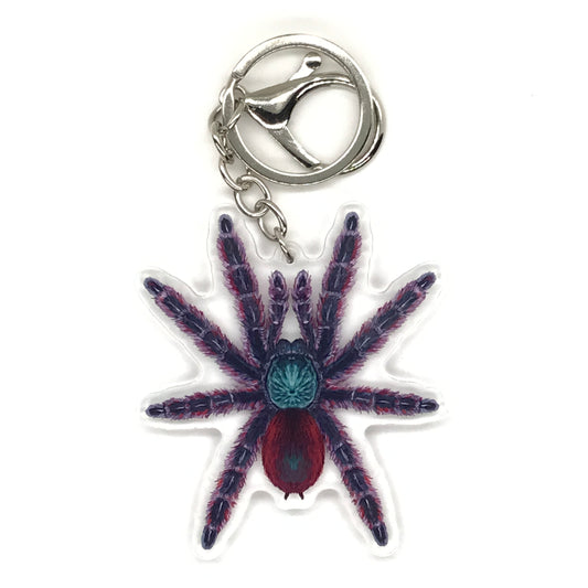 Antilles Pinktoe Tarantula Keychain, Caribena Versicolor Acrylic Charm from The Silk Ranch
