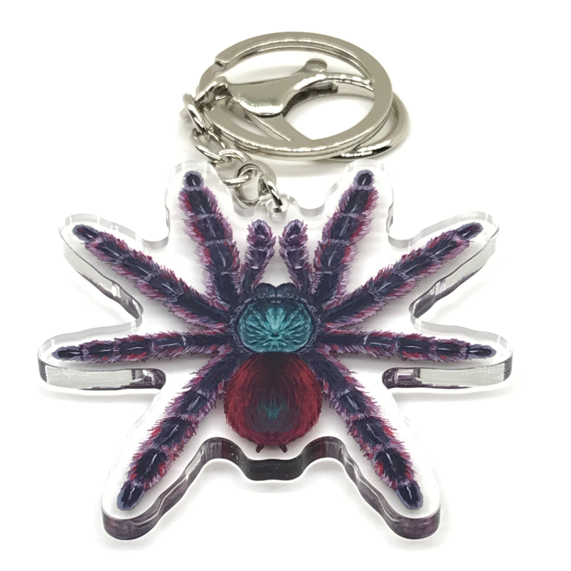 Antilles Pinktoe Tarantula Keychain, Caribena Versicolor Acrylic Charm from The Silk Ranch