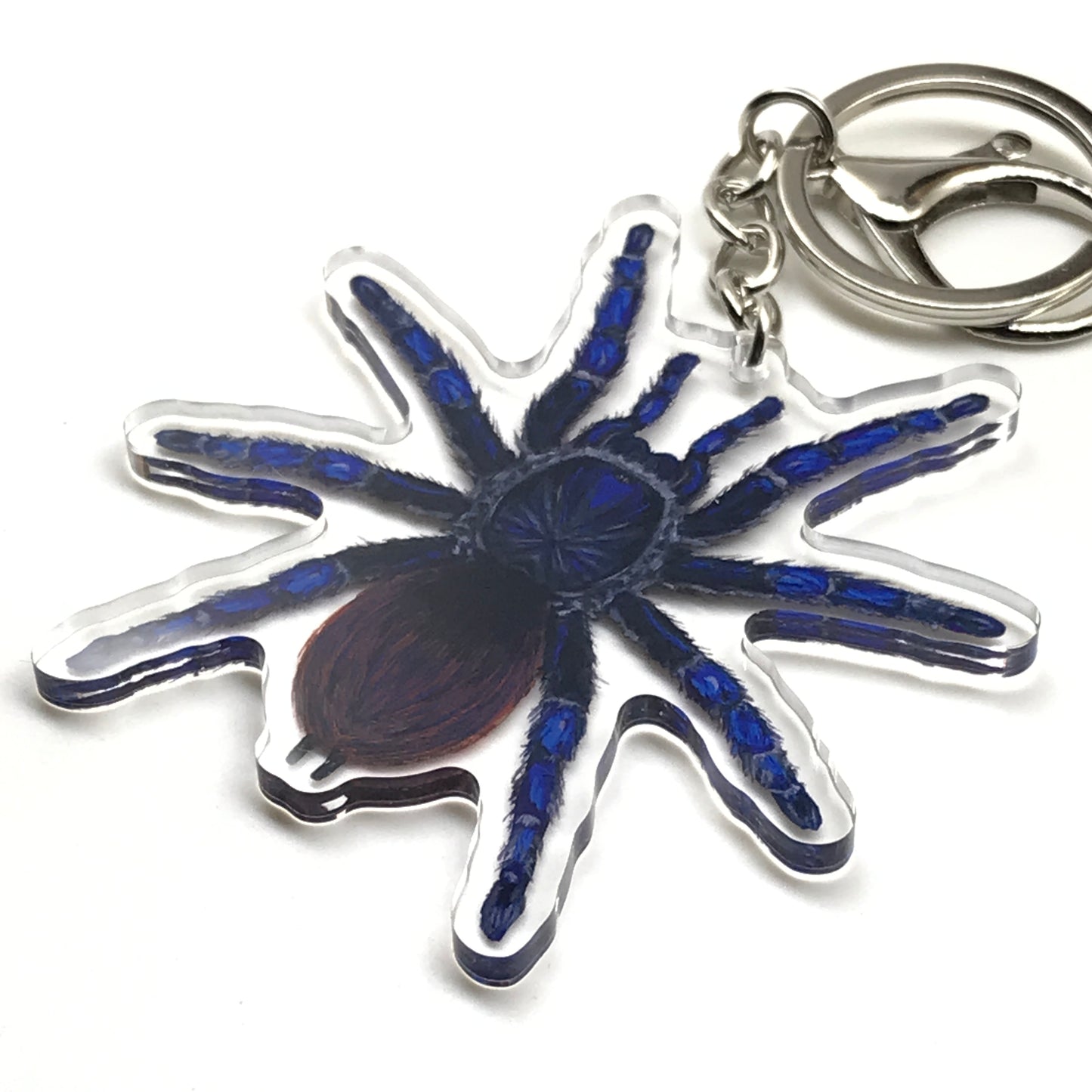 Brazilian Blue Tarantula keychain by The Silk Ranch featuring a vivid acrylic charm of a blue tarantula on a keyring.