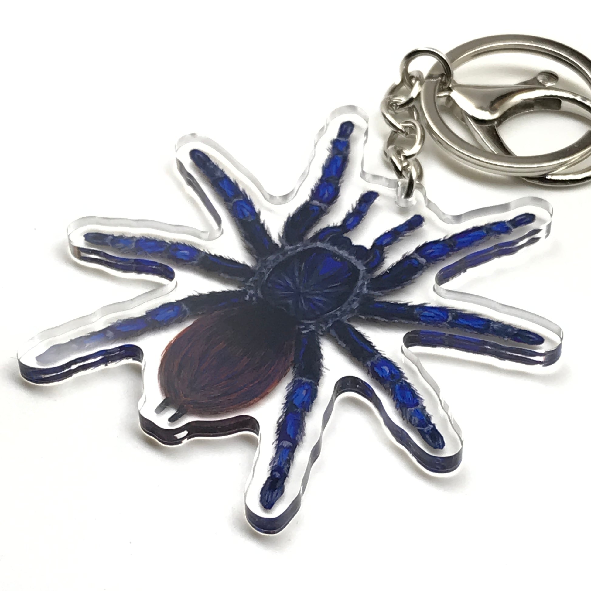 Brazilian Blue Tarantula keychain by The Silk Ranch featuring a vivid acrylic charm of a blue tarantula on a keyring.