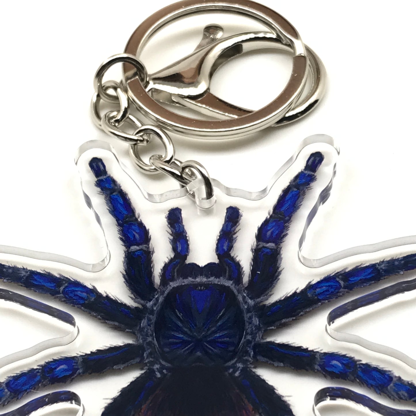 Brazilian Blue Tarantula keychain by The Silk Ranch featuring a detailed acrylic charm of a blue tarantula.