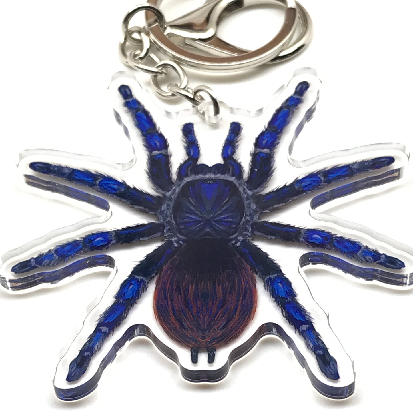 Brazilian Blue Tarantula keychain featuring a Lasiocyano Sazimai acrylic charm, showcasing vibrant blue and black details.
