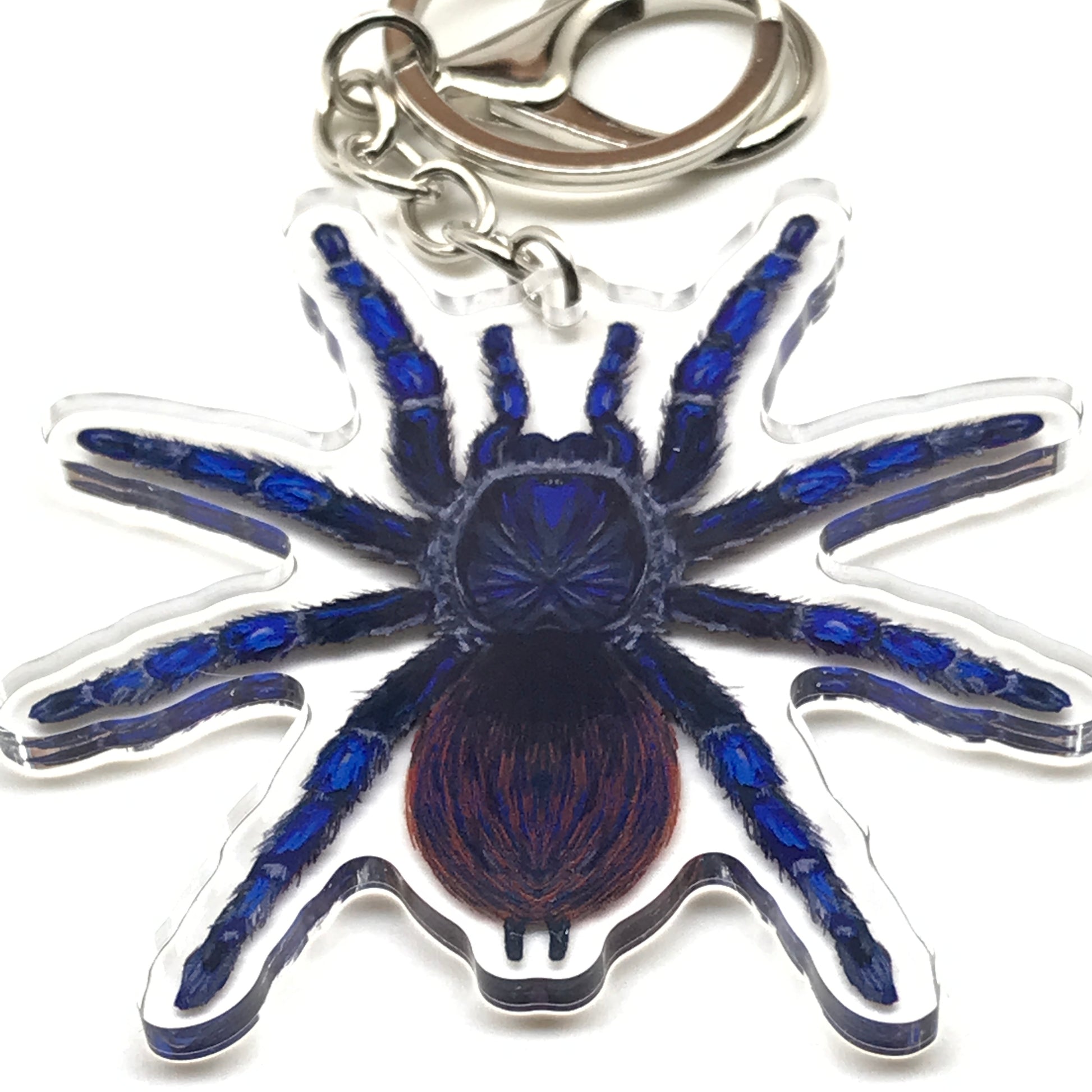 Brazilian Blue Tarantula keychain featuring a Lasiocyano Sazimai acrylic charm, showcasing vibrant blue and black details.