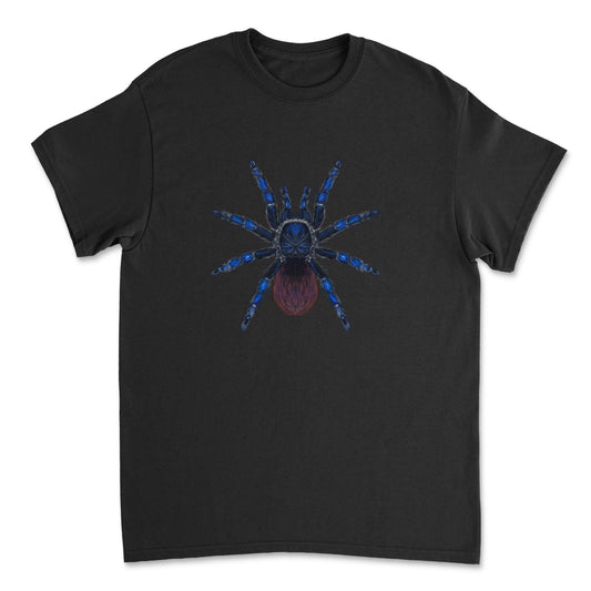 Brazilian Blue Tarantula art T-shirt by Mingo Art featuring a detailed illustration of a blue tarantula on a black cotton T-shirt.