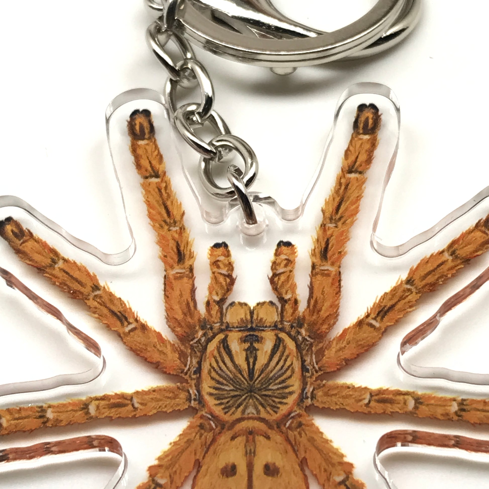 Orange Baboon Tarantula keychain featuring a Pterinochilus Murinus acrylic charm with detailed orange and black spider design.