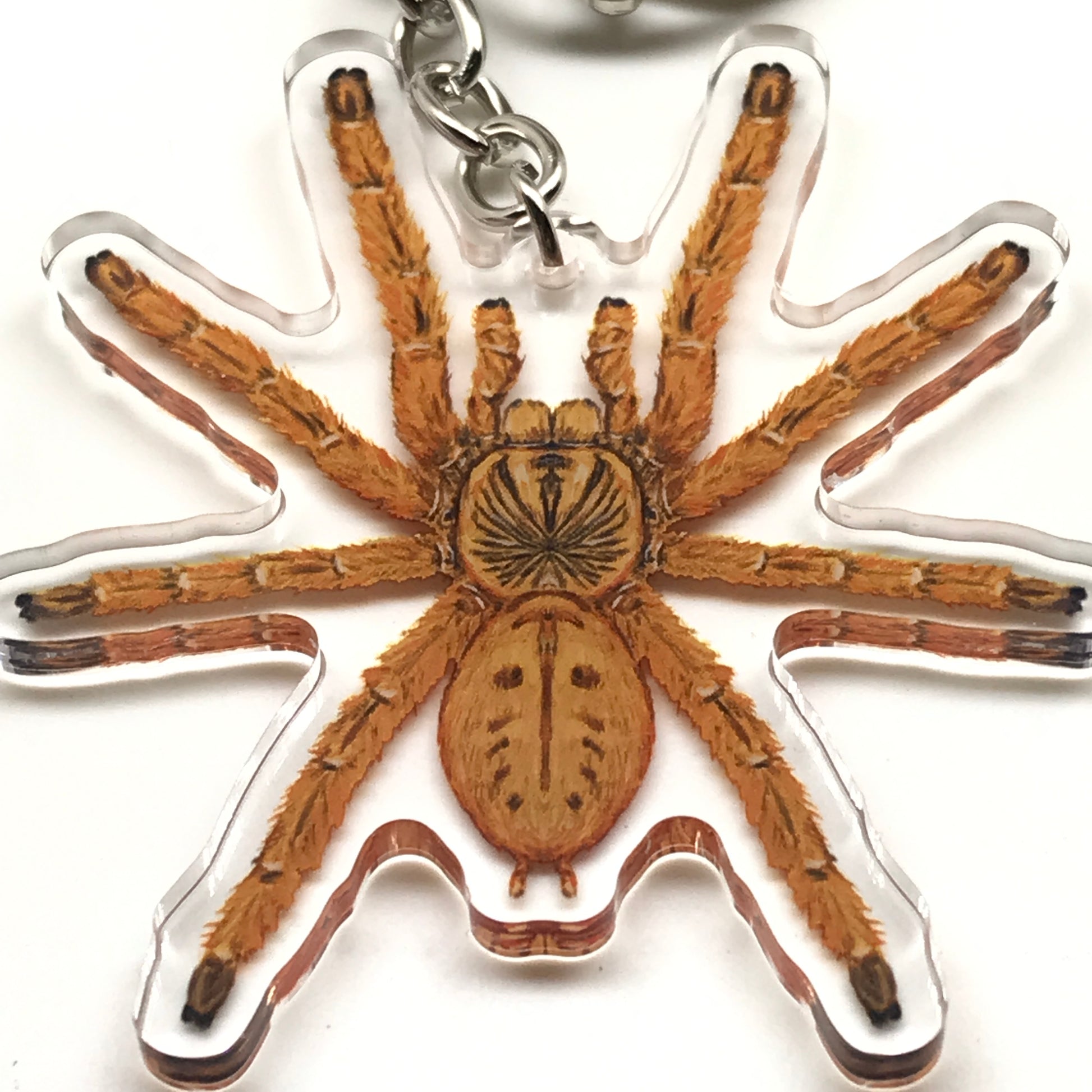 Orange Baboon Tarantula keychain featuring Pterinochilus murinus acrylic charm from The Silk Ranch.