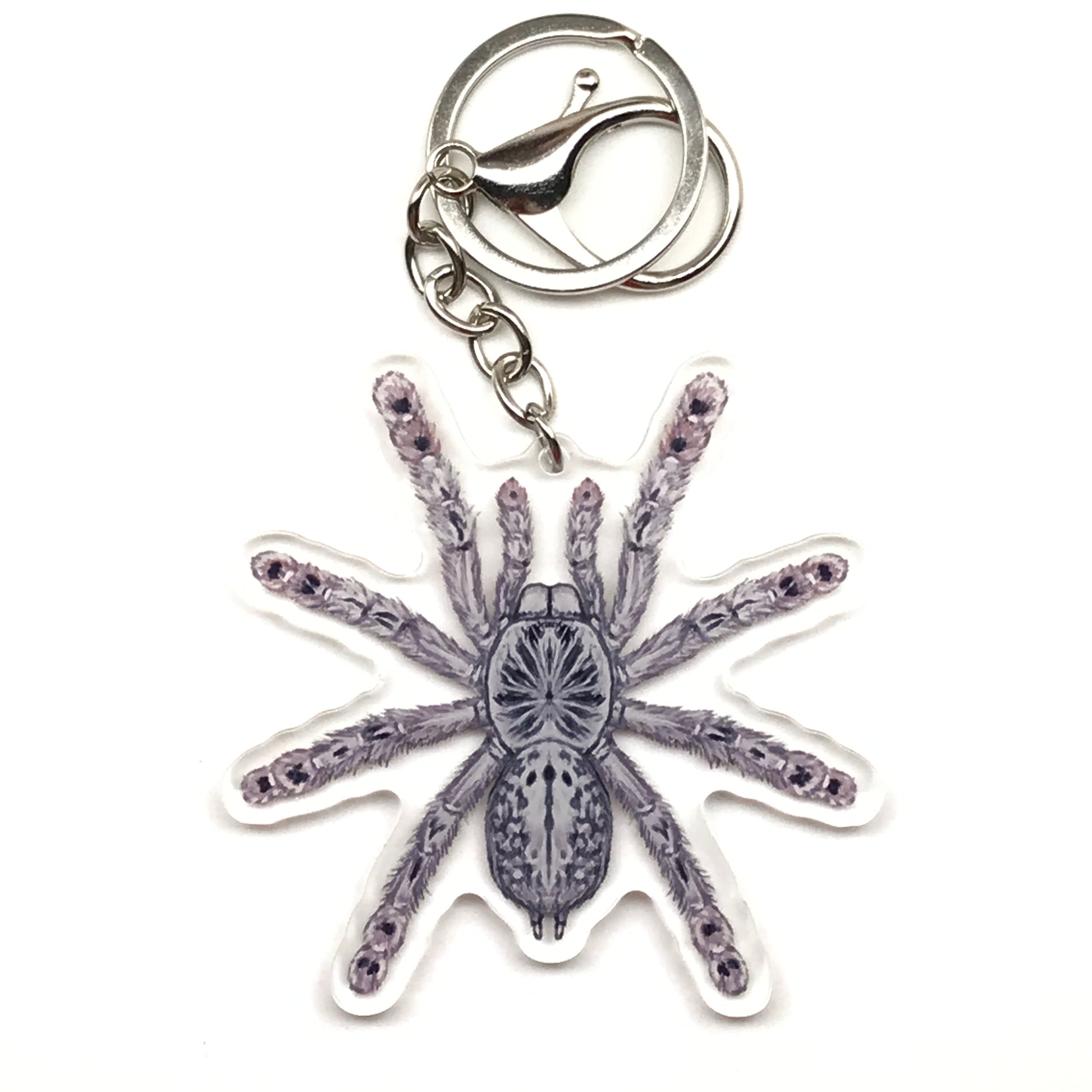 Togo Starburst Tarantula Keychain, Heteroscodra Maculata Acrylic Charm from The Silk Ranch