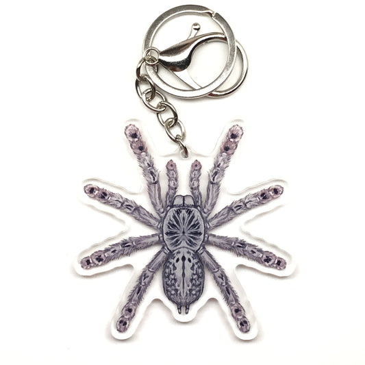Togo Starburst Tarantula Keychain, Heteroscodra Maculata Acrylic Charm from The Silk Ranch