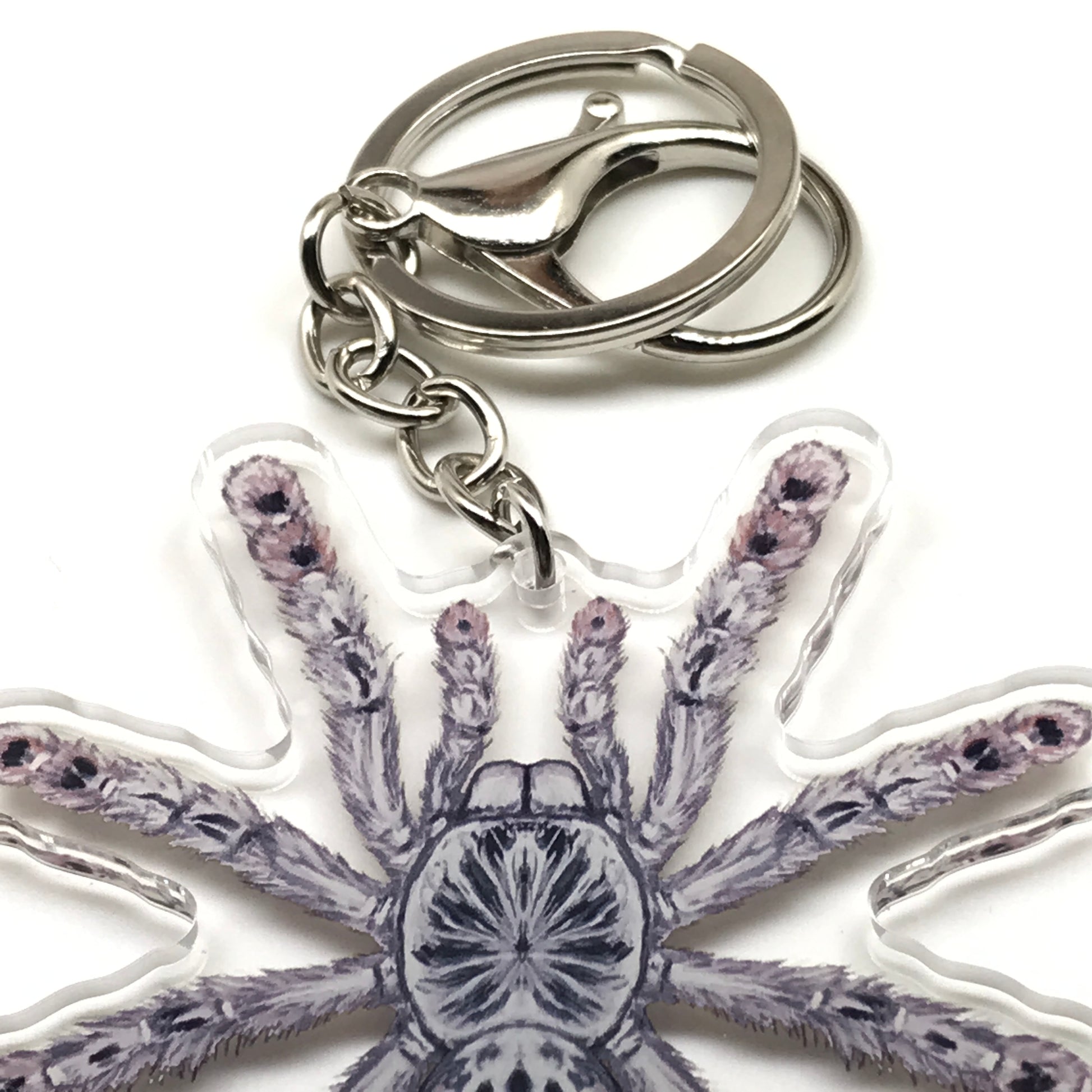 Togo Starburst Tarantula Keychain, Heteroscodra Maculata Acrylic Charm from The Silk Ranch