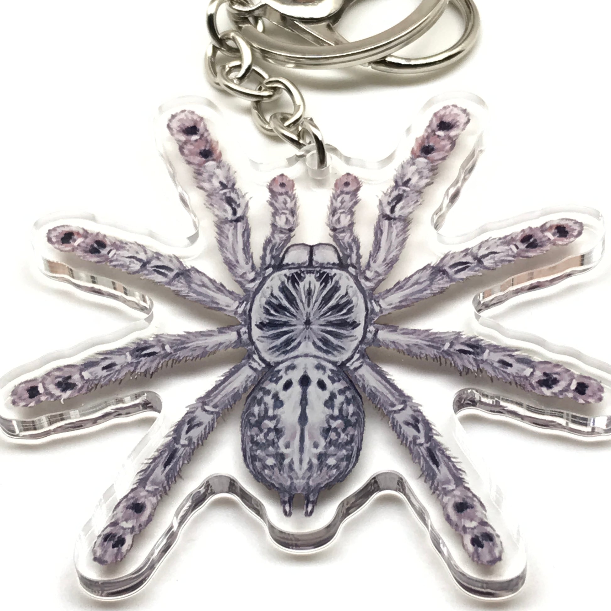 Togo Starburst Tarantula Keychain, Heteroscodra Maculata Acrylic Charm from The Silk Ranch