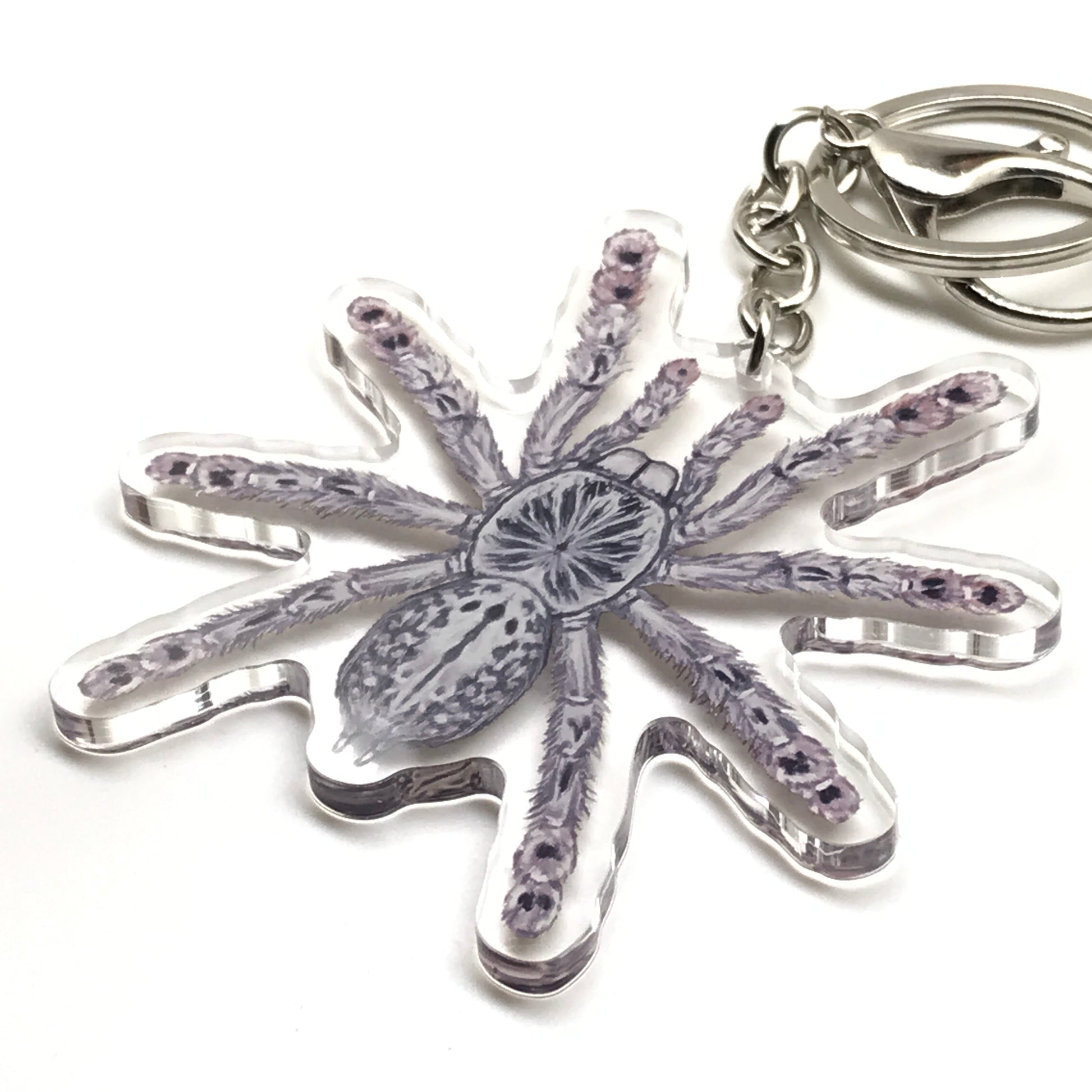 Togo Starburst Tarantula Keychain, Heteroscodra Maculata Acrylic Charm from The Silk Ranch
