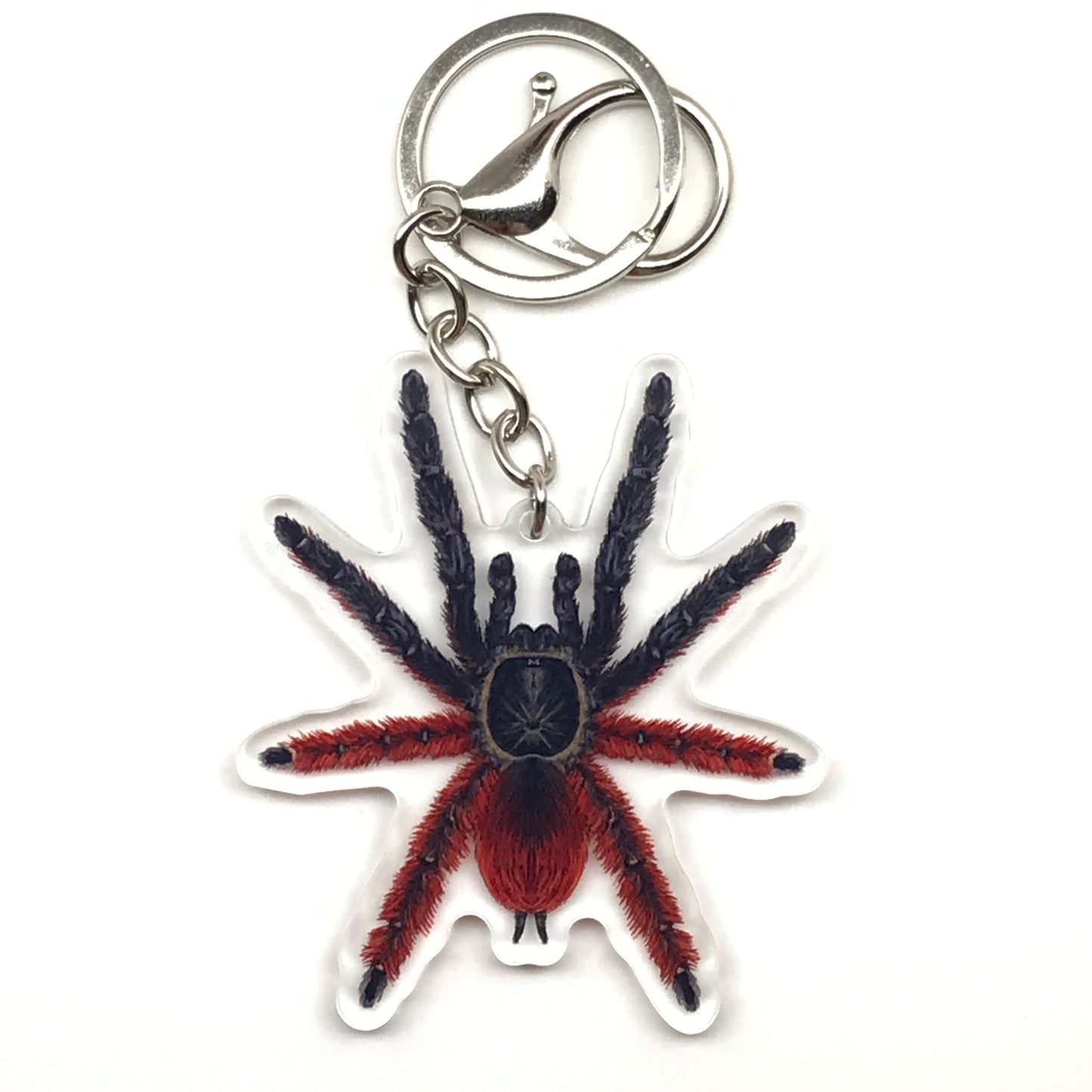 Darth Maul tarantula keychain with Psalmopoeus Victori acrylic charm, featuring a detailed spider design from The Silk Ranch.