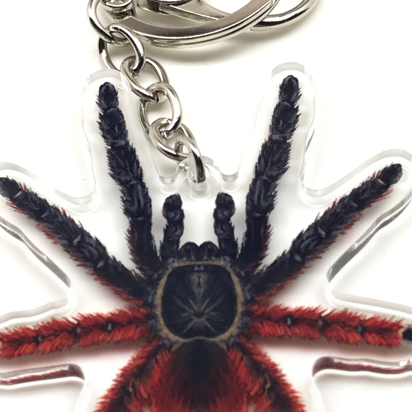 Darth Maul tarantula keychain with Psalmopoeus Victori acrylic charm, featuring a detailed spider design on a clear acrylic background.