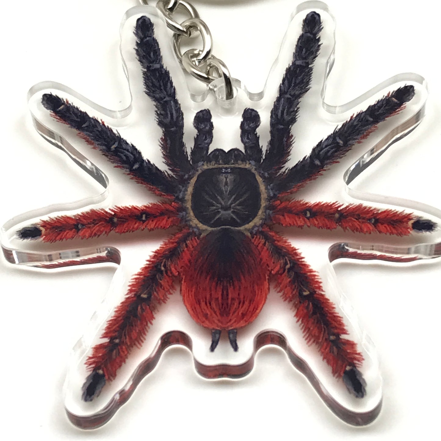 Darth Maul tarantula keychain with Psalmopoeus Victori acrylic charm, featuring detailed spider design and vibrant colors.