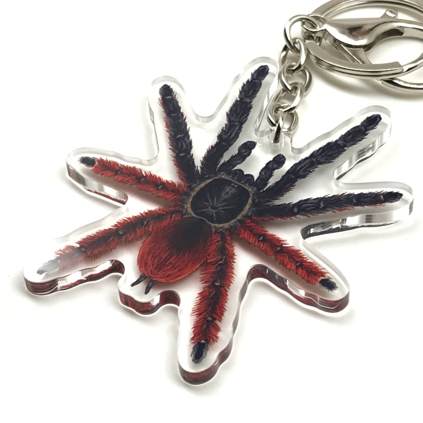 Darth Maul tarantula keychain with acrylic charm featuring Psalmopoeus Victori spider design, from The Silk Ranch.