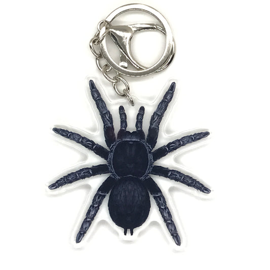 Brazilian Black Tarantula Keychain, Grammostola Pulchra Acrylic Charm from The Silk Ranch