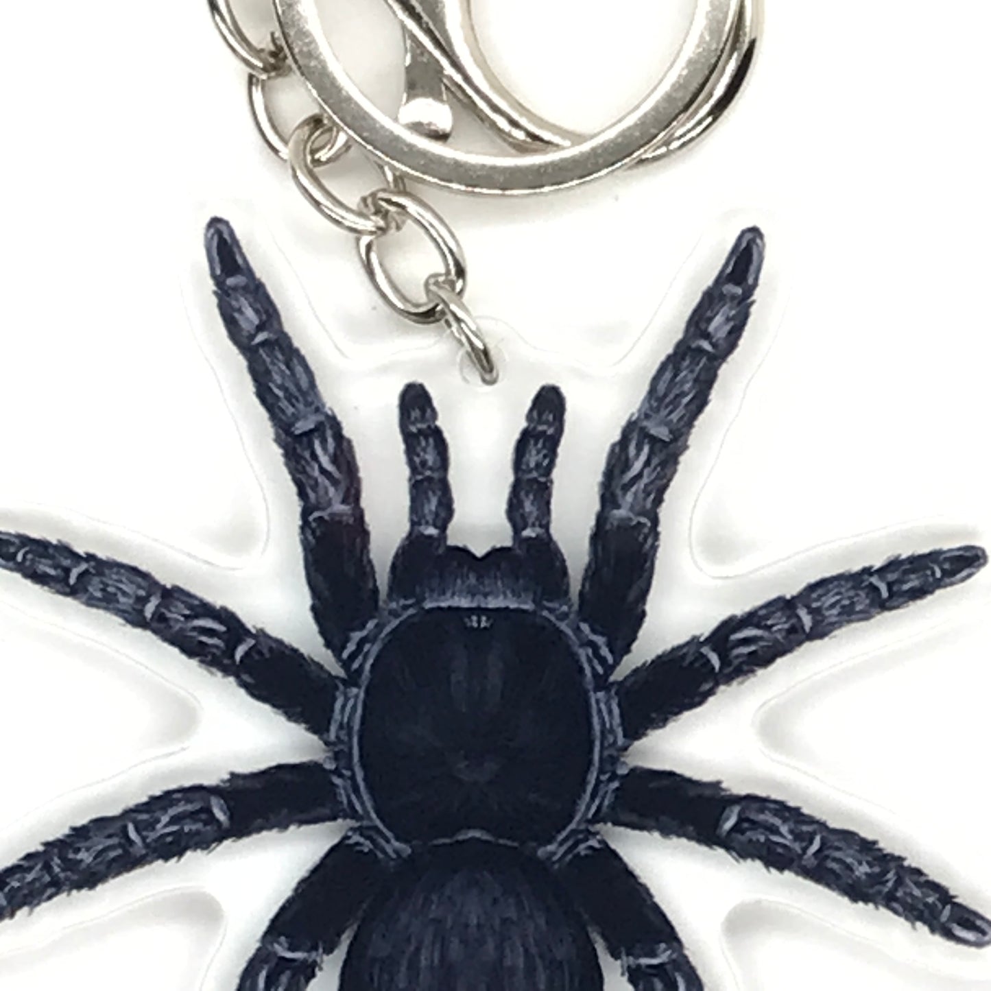Brazilian Black Tarantula keychain featuring Grammostola Pulchra acrylic charm with detailed black spider design.