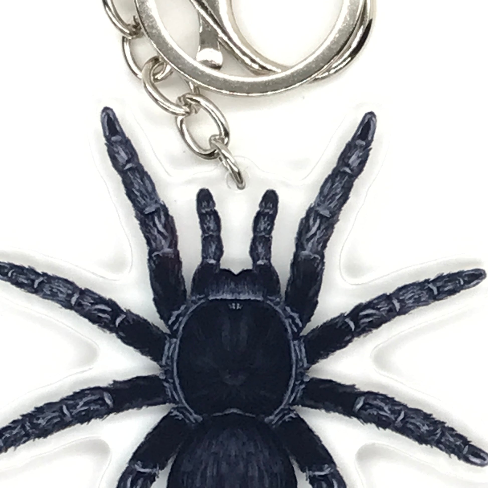 Brazilian Black Tarantula keychain featuring Grammostola Pulchra acrylic charm with detailed black spider design.