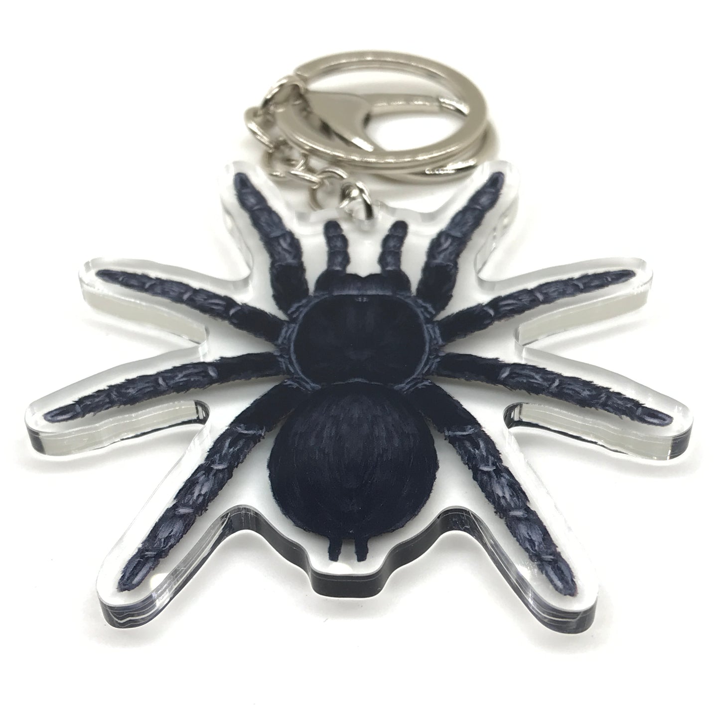 Acrylic keychain featuring a realistic Brazilian Black Tarantula (Grammostola Pulchra) charm with detailed black and brown coloring.