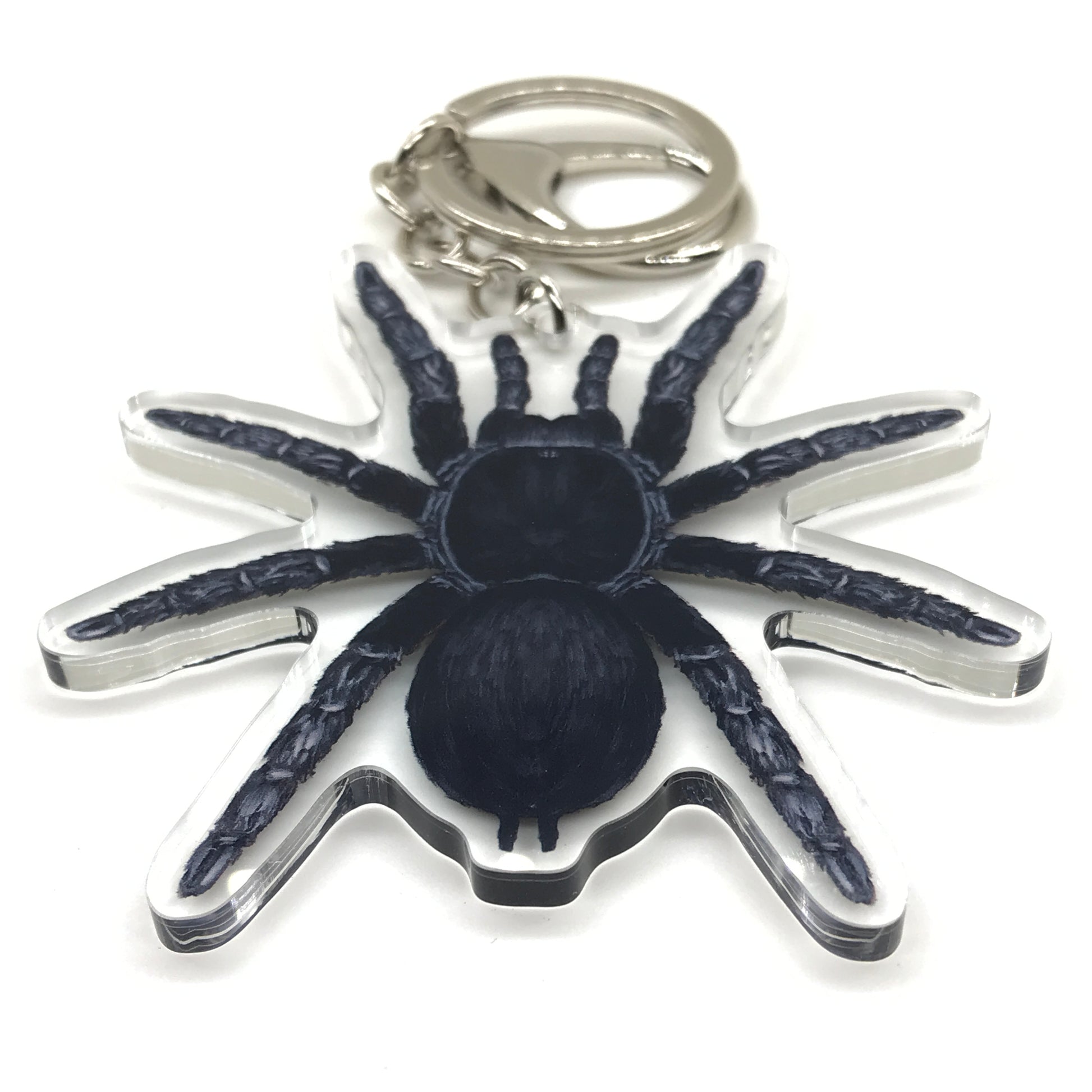 Acrylic keychain featuring a realistic Brazilian Black Tarantula (Grammostola Pulchra) charm with detailed black and brown coloring.