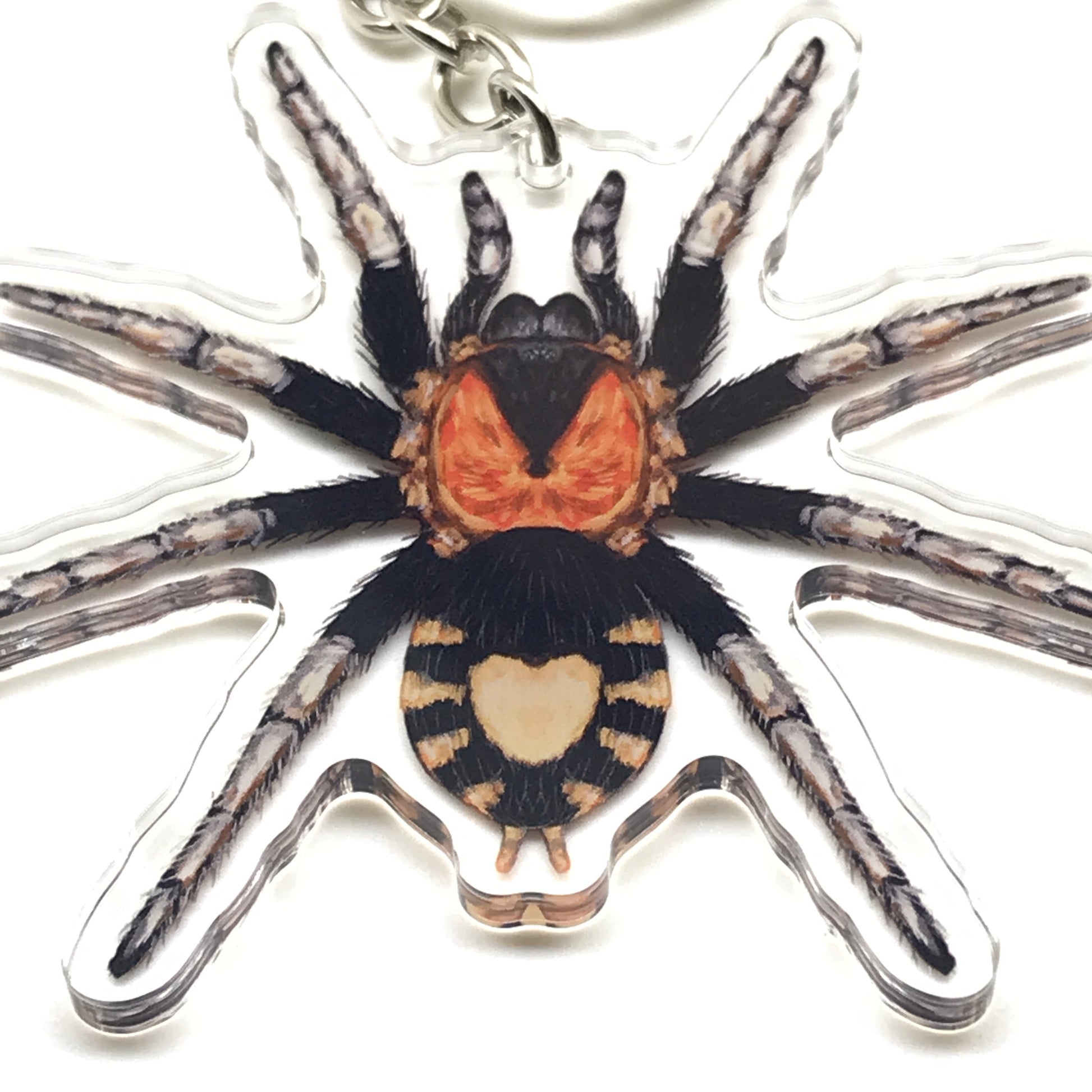 Trinidad Dwarf Tarantula Keychain, Cyriocosmus Elegans Acrylic Charm from The Silk Ranch
