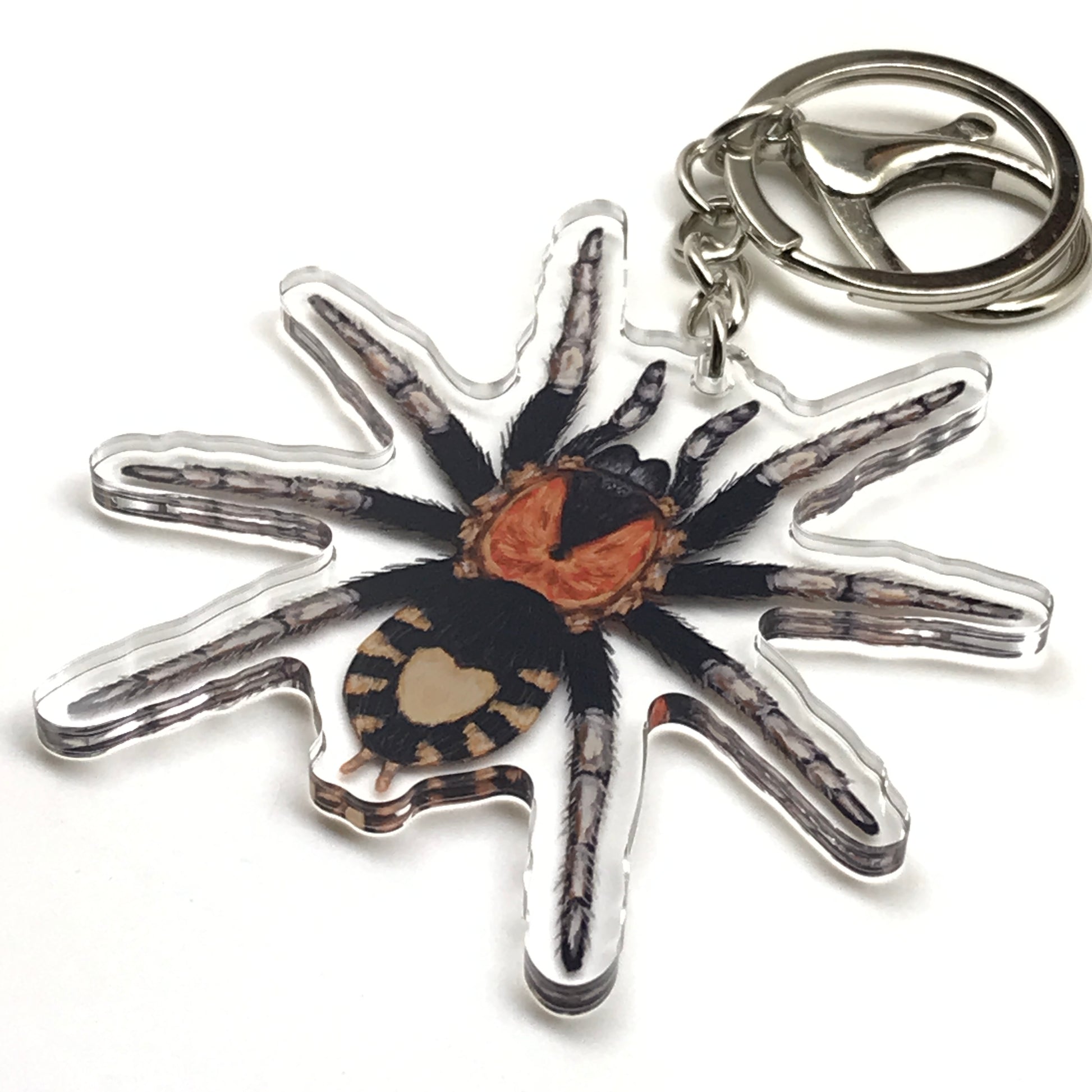 Trinidad Dwarf Tarantula Keychain, Cyriocosmus Elegans Acrylic Charm from The Silk Ranch