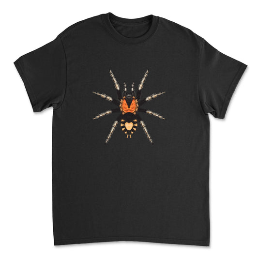 Black T-shirt featuring a colorful illustration of a Trinidad Dwarf Tarantula (Cyriocosmus elegans) from Mingo Art.