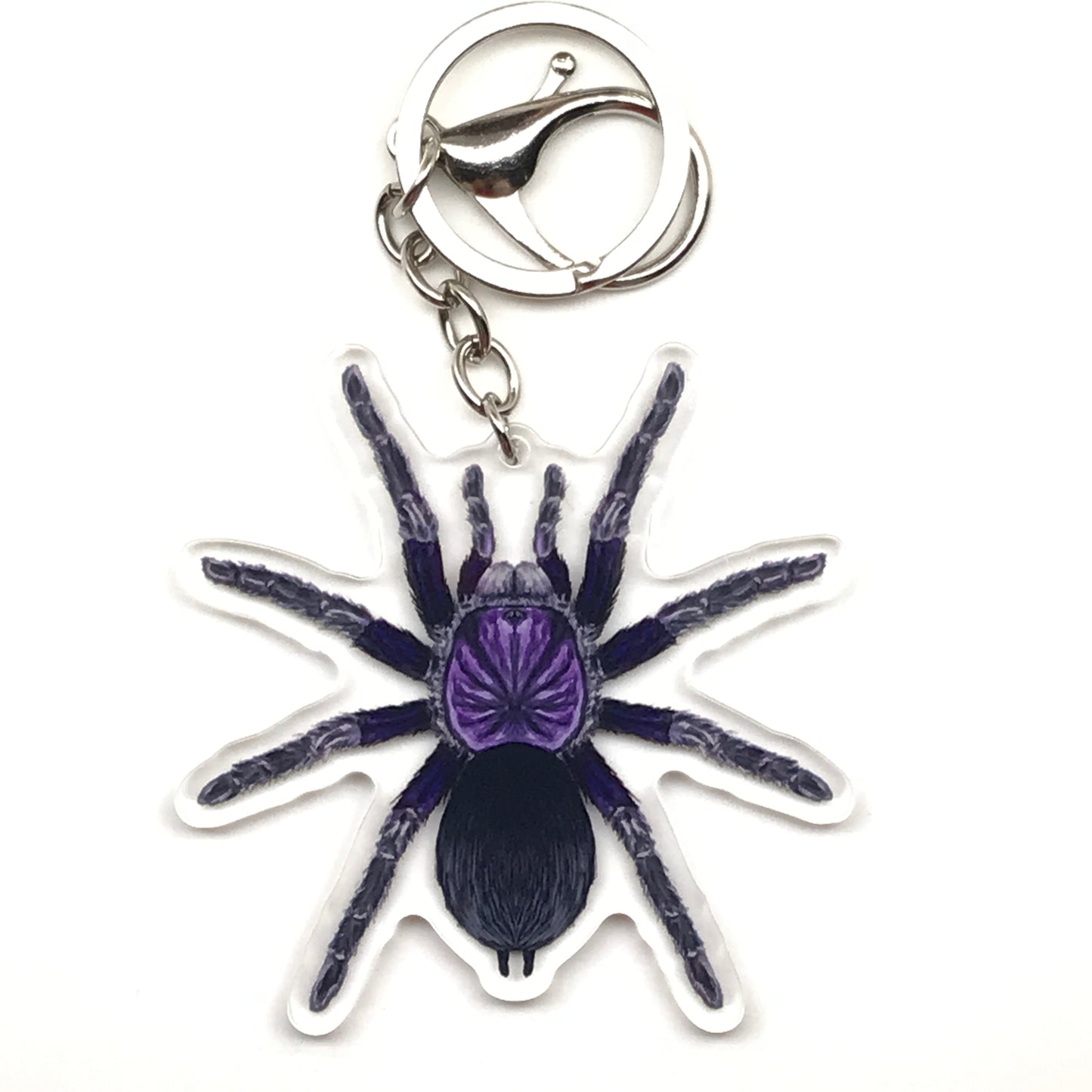 Dominican Purple Tarantula Phormictopus acrylic keychain charm with detailed purple spider design on a clear background
