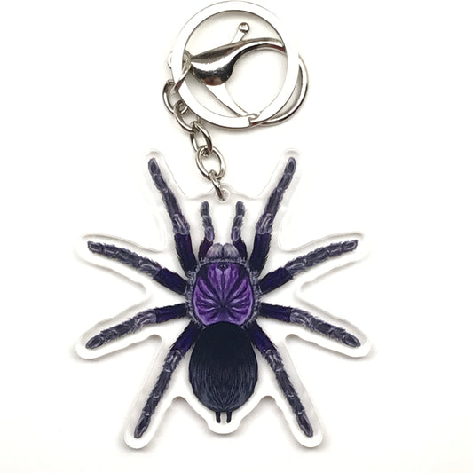 Dominican Purple Tarantula Keychain, Phormictopus Sp. Dominican Purple Acrylic Charm from The Silk Ranch