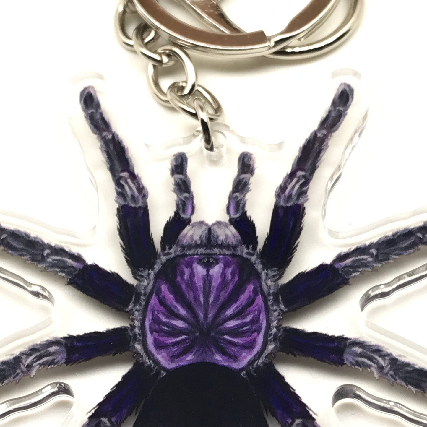 Dominican Purple Tarantula keychain featuring acrylic charm with Phormictopus sp. design from The Silk Ranch.