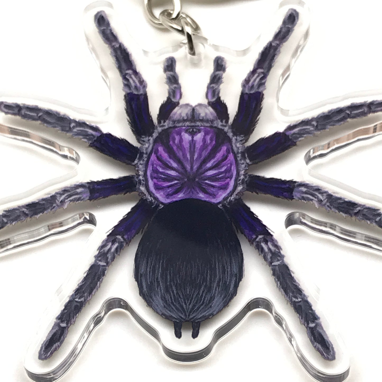 Dominican Purple Tarantula keychain by The Silk Ranch featuring an acrylic charm of a Phormictopus sp. tarantula on a purple background