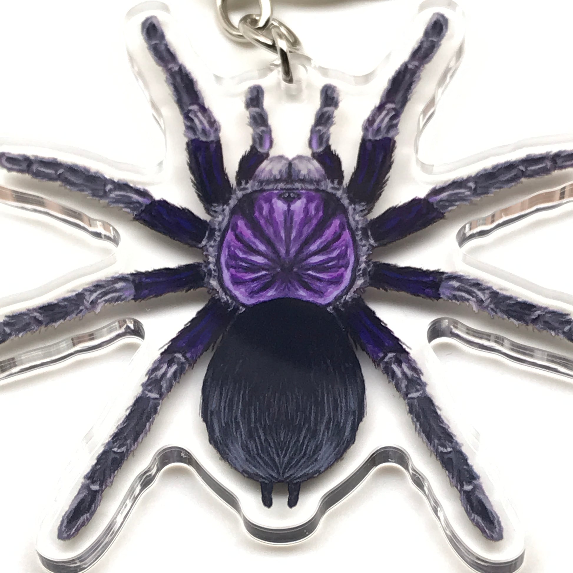 Dominican Purple Tarantula keychain by The Silk Ranch featuring an acrylic charm of a Phormictopus sp. tarantula on a purple background