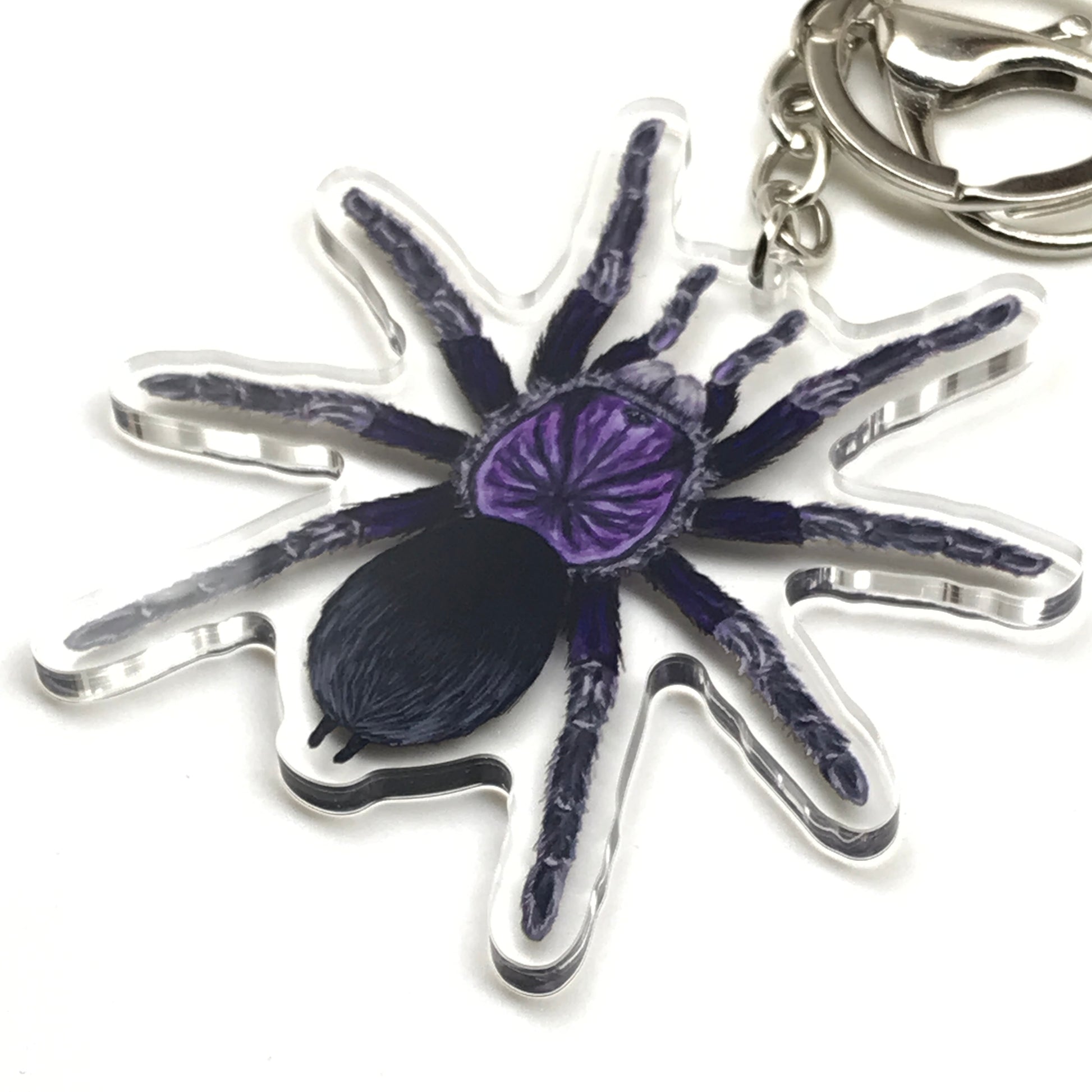 Purple tarantula keychain featuring a Phormictopus sp. acrylic charm from The Silk Ranch, detailed and vibrant for display.