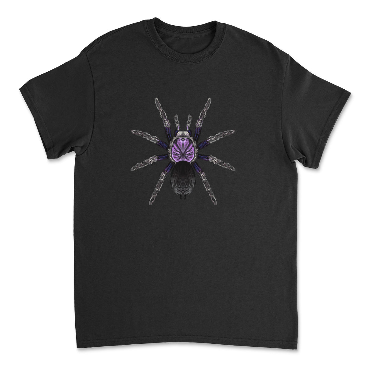 Black T-shirt featuring a detailed illustration of a Dominican Purple Tarantula (Phormictopus sp.) in purple and black tones.