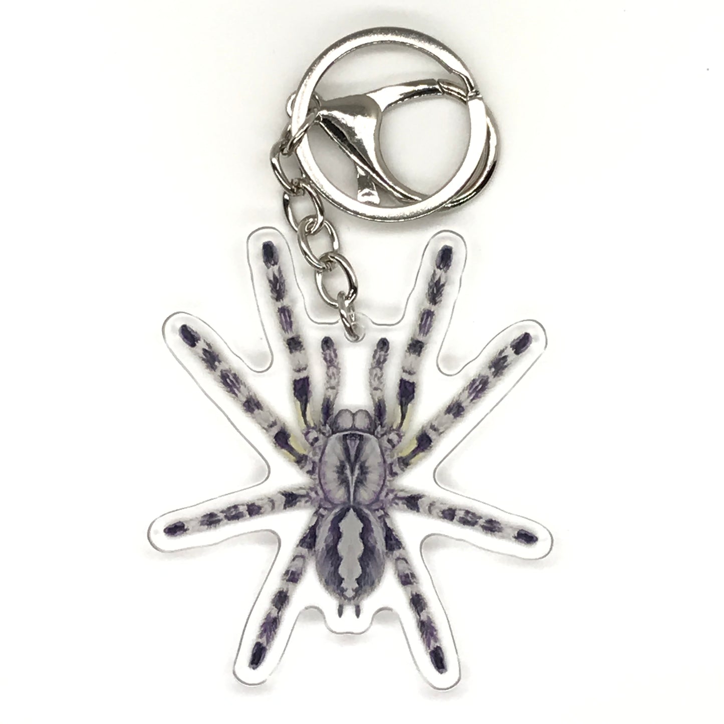 Indian Ornamental Tarantula keychain featuring a Poecilotheria regalis acrylic charm with detailed black and yellow markings.