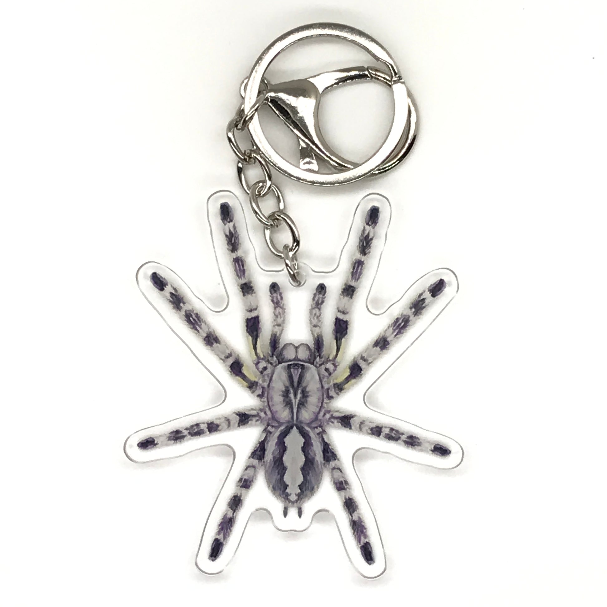 Indian Ornamental Tarantula keychain featuring a Poecilotheria regalis acrylic charm with detailed black and yellow markings.