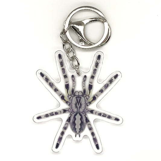 Indian Ornamental Tarantula Keychain, Poecilotheria Regalis Acrylic Charm from The Silk Ranch