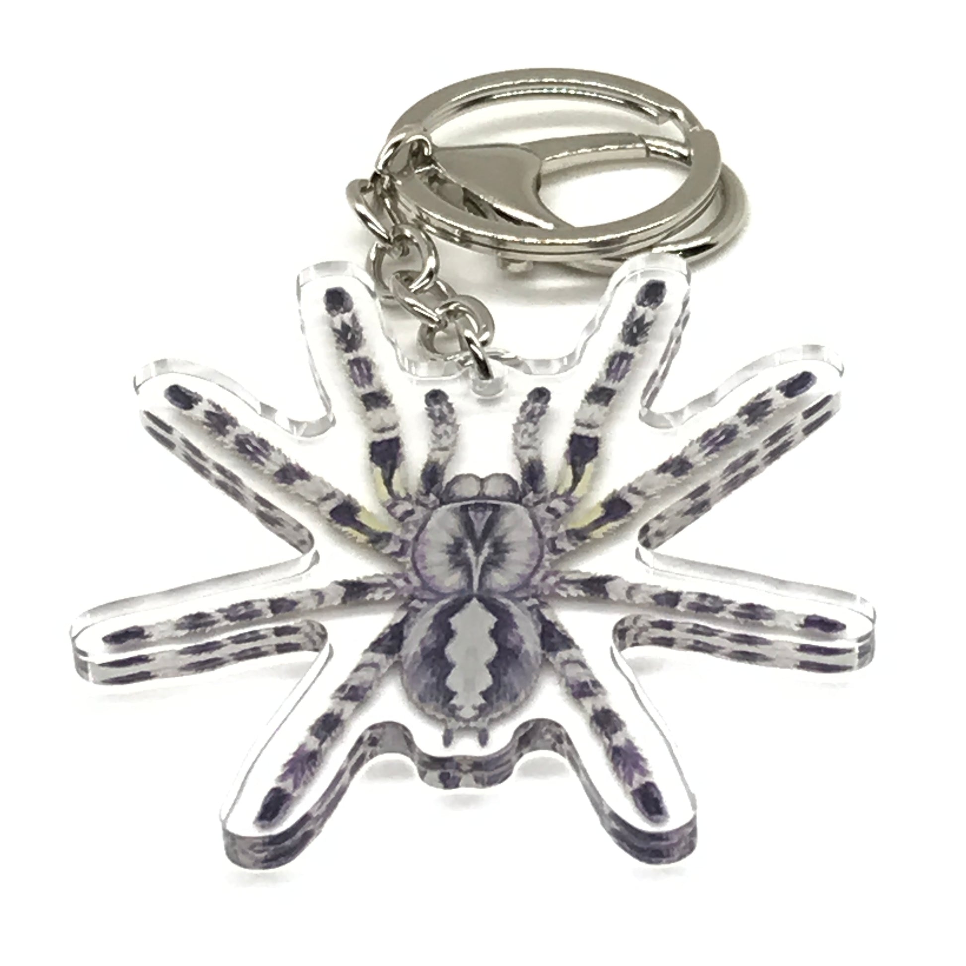 Indian Ornamental Tarantula keychain featuring a Poecilotheria regalis acrylic charm with detailed spider design.